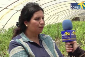 propriétaire-projet-agricole-chatt-mariem